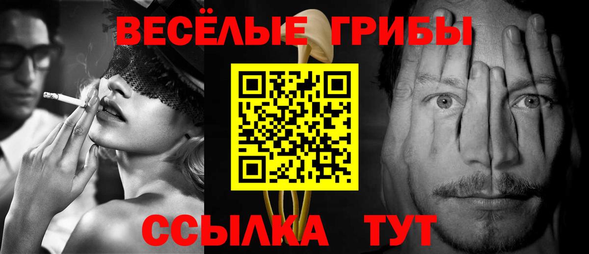 Галлюциногенные грибы Cubensis  Псилоцибиновые грибы GOLDEN TEACHER  Вход с VPN  Тамбов 