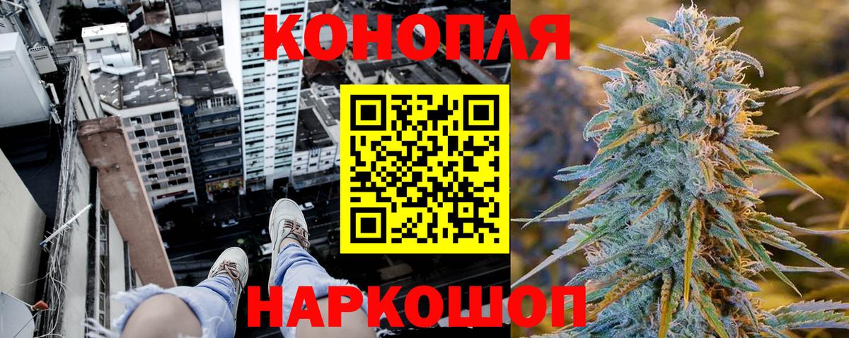 Марихуана план Тамбов